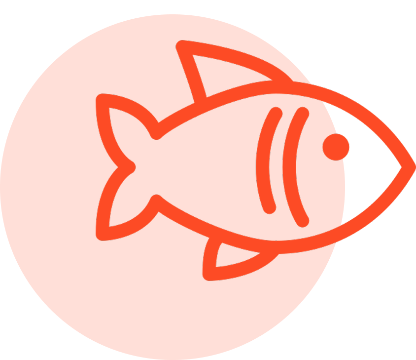 fish 1